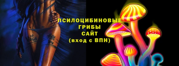 Альфа ПВП Аркадак