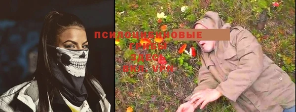 Альфа ПВП Аркадак
